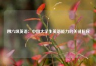 四六级英语：中国大学生英语能力的关键标尺