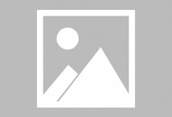 《一株紫丁香：在PPT中绽放的教育诗篇》