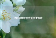 经济学领域的专业分支探析