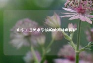 山东工艺美术学院的教育特色探析