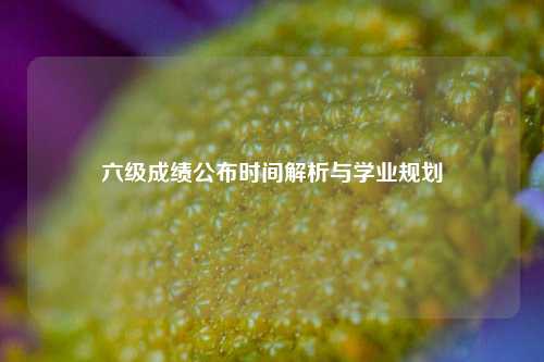 六级成绩公布时间解析与学业规划