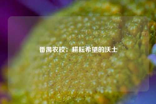 番禺农校:耕耘希望的沃土