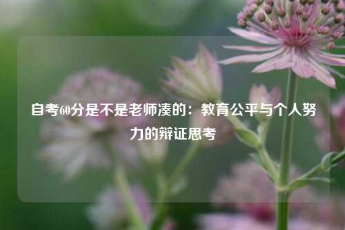 自考60分是不是老师凑的：教育公平与个人努力的辩证思考