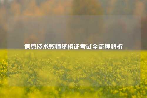 信息技术教师资格证考试全流程解析
