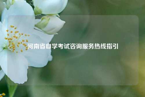 河南省自学考试咨询服务热线指引