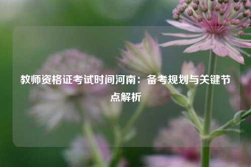 教师资格证考试时间河南：备考规划与关键节点解析