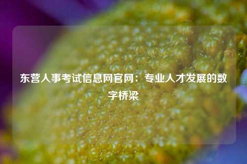 东营人事考试信息网官网：专业人才发展的数字桥梁