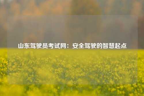 山东驾驶员考试网：安全驾驶的智慧起点